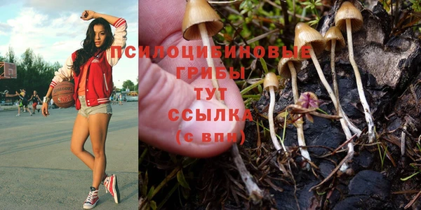 спайс Осташков