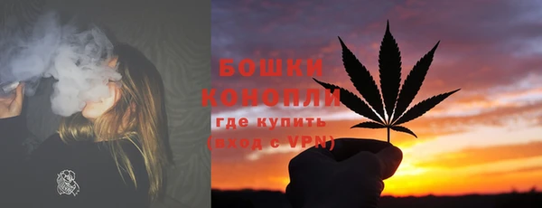 ГАЛЛЮЦИНОГЕННЫЕ ГРИБЫ Няндома