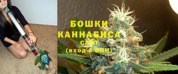 спайс Нягань