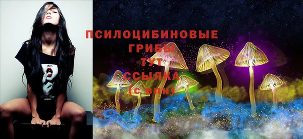 таблы Осинники
