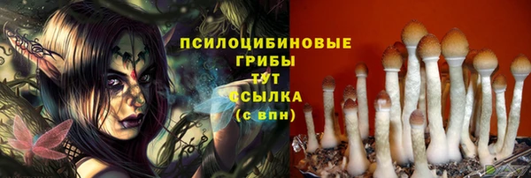 спиды Остров