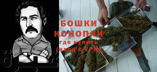 прущие грибы Валуйки