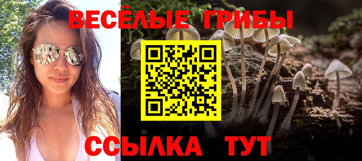 Галлюциногенные грибы мухоморы Анапа