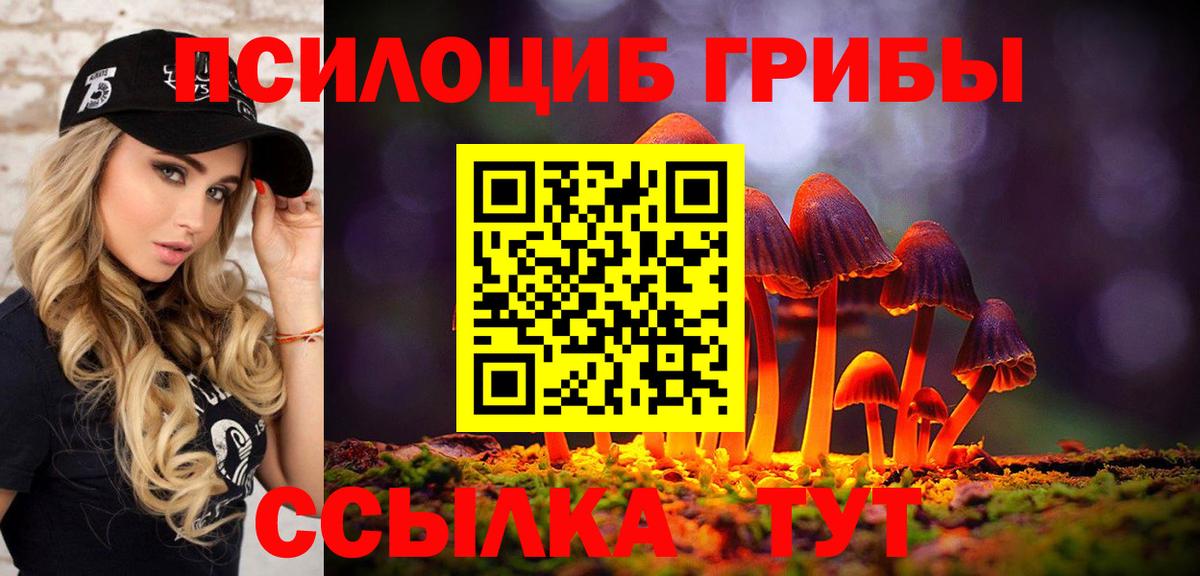 Галлюциногенные грибы прущие грибы Анапа